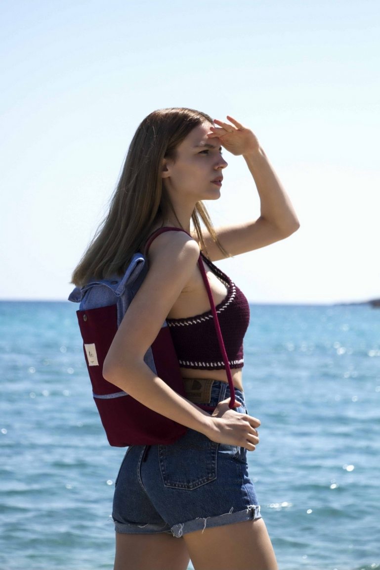 Blue & burgundy backpack 