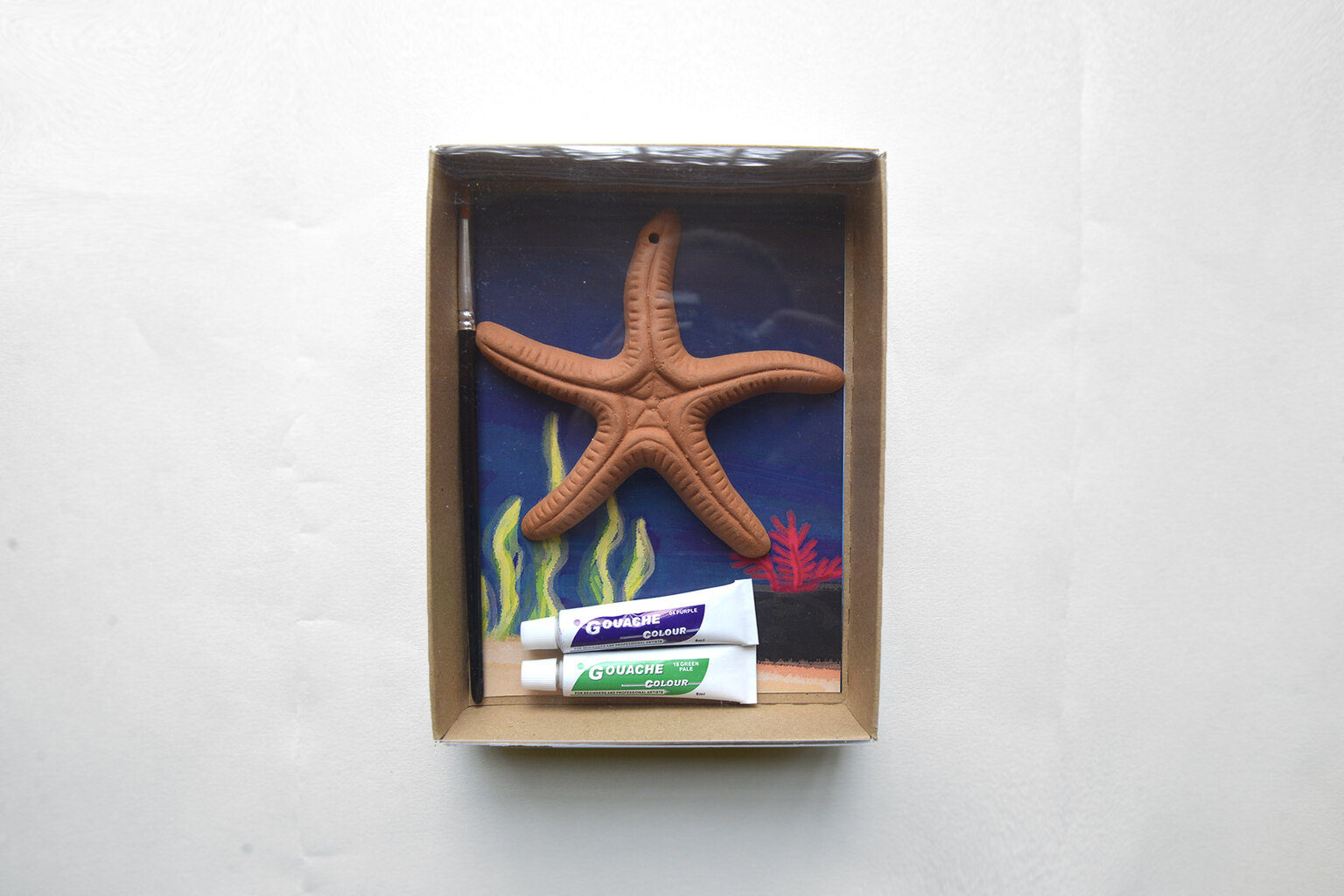 "Painting the starfish" kit
