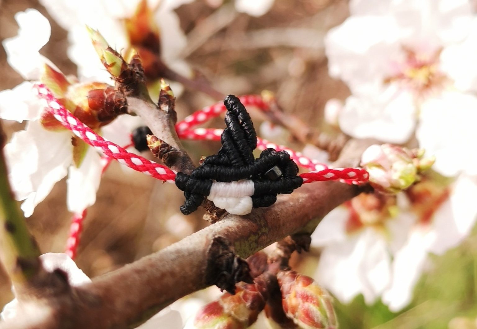 Macramé swallow martis bracelet